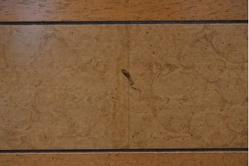 中古　カリモク　domani(ドマーニ)　Morganton(モーガントン)　希少なライトコニャック色　ゴールドの引手が高級感を演出するドロワーチェスト　(R-068964)