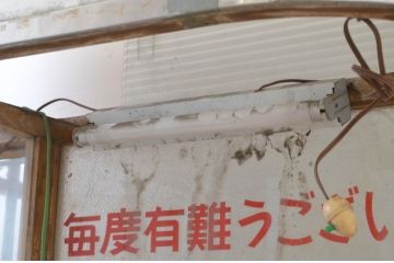和製アンティーク　激レア!　レトロなタイルベースのタバコ屋ガラスケース(ショーケース、陳列棚、煙草、たばこ)(R-069116)