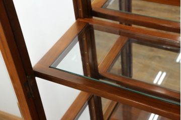 アジアンビンテージ　花梨(カリン)材　繊細な彫刻が美しい上品な佇まいのキュリオケース(ガラスケース、キャビネット、ショーケース、飾り棚、店舗什器, ヴィンテージ)(R-069378)