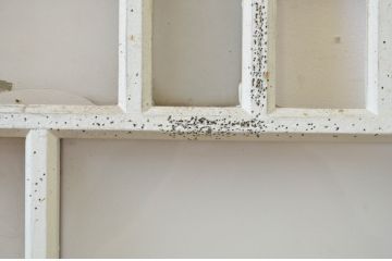 アンティーク建具　ペイント仕上げ限定　大正ロマン　どこか懐かしい雰囲気を醸し出すペイントガラス窓1枚(FIX、フィックス、嵌め殺し)(R-069412)