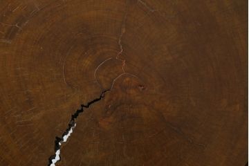 和製アンティーク　黒柿材　丸太輪切りのユニークなデザインと重厚な佇まいが魅力の彫刻入り衝立て(パーテーション、仕切り、つい立て、衝い立て)(R-069515)