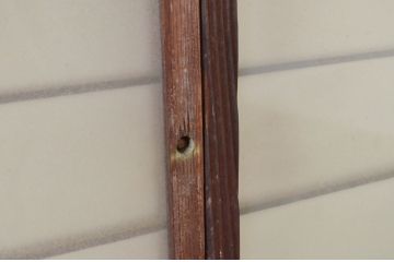 アンティーク建具　レトロな空間を演出する格子入り幅狭ガラス窓4枚セット(引き戸、ガラス戸、格子戸)(R-069653)