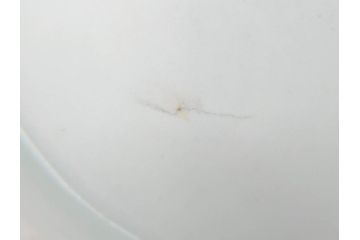 江戸〜明治　伊万里　染付　約17cm　5.6寸　魚花紋と色合いが涼しげな輪花皿5枚セット(五寸六分、中皿、和食器)(R-069856)