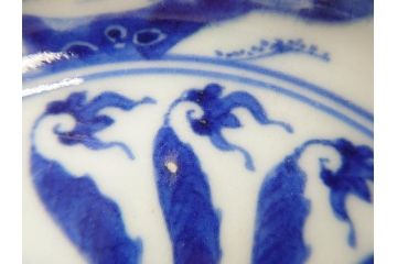 江戸〜明治　伊万里　染付　約17cm　5.6寸　魚花紋と色合いが涼しげな輪花皿5枚セット(五寸六分、中皿、和食器)(R-069856)