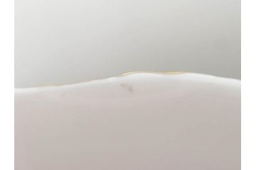 イギリス　ROYAL WORCESTER(ロイヤルウースター)　ペインテッドフルーツ　約20cm　一つ一つ丁寧に絵付けされた意匠が美しいプレート(ハンドペイント、箱付き、洋食器、皿)(R-070225)