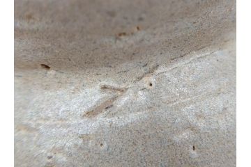 時代物　高麗　時を経た風合いが味わい深い蕎麦茶碗(そば、茶道具、茶器、和食器、共箱付き)(R-070229)
