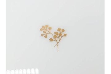 大倉陶園(OKURA、OAC)　カトレア　可愛らしいお花が魅力的なプレート6枚セット(洋食器、皿、洋蘭、オーキッド)(R-070233)