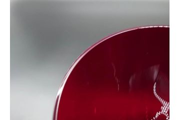 イギリス　ROYAL DOULTON(ロイヤルドルトン)　ジュリアン・マクドナルド(JM)　鮮やかな赤色が美しいイグナイトタンブラー3客セット(グラス、洋食器)(R-070262)