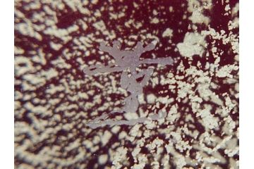 大川薫　玻璃　鮮やかな赤と上品な金の色合いが素敵な花入(ガラス工芸、津軽びいどろ、硝子、花器、花瓶、共箱付き)(R-070271)