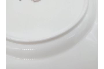 希少　イギリス　MINTONS(ミントン)　HAZLEMERE(ヘイゼルミア)　クラシックな雰囲気が素敵なプレート6枚セット(箱付き、洋食器、皿)(R-070273)