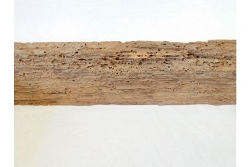 当麻寺　古材　経年を感じさせる木味が魅力的な炉縁(當麻寺、お寺、茶道具、共箱付き)(R-070274)