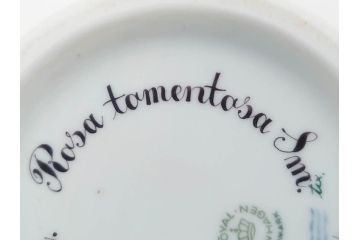 デンマーク　ROYAL COPENHAGEN(ロイヤルコペンハーゲン)　最高峰コレクション　フローラダニカ　多彩な花たちが煌びやかな印象を与えるワインクーラー(洋食器)(R-070340)
