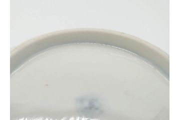 幕末　古伊万里　金彩　色絵　約12cm　3.8寸　煌びやかな絵付けが素敵な小皿5枚セット(獅子、松竹、和食器、深皿、和皿、三寸八分)(R-070406)