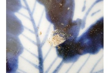 江戸期　古伊万里　染付　栗図　7.4寸　約23cm　藍色の濃淡が魅力的な中皿3枚セット(和食器、和皿、七寸四分)(R-070414)