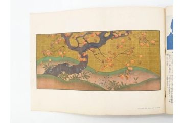 1928年(昭和3年)11月1日発行　第一巻一号　創刊号　1928年(昭和3年)12月号　1929年(昭和4年)1月〜3月号　平凡社　本5冊セット(古本、雑誌)(R-070421)