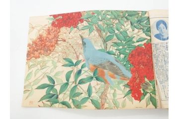 1928年(昭和3年)11月1日発行　第一巻一号　創刊号　1928年(昭和3年)12月号　1929年(昭和4年)1月〜3月号　平凡社　本5冊セット(古本、雑誌)(R-070421)