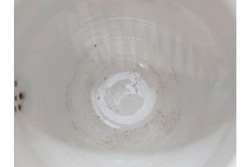 明治期　九谷上出造　九谷焼　細やかな意匠が施された水差(ティーポット、水指し、茶道具、和食器、共箱付き)(R-070478)