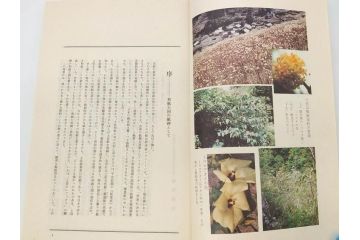 高知県 手すき和紙協同組合編　500部限定　1990年3月10日発行　土佐和紙全2巻(和本、古文書、箱付き)(R-070480)