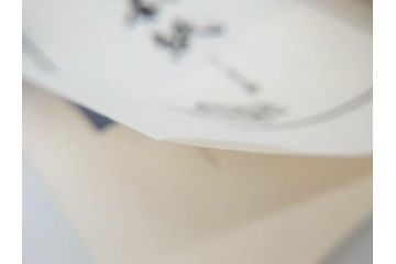 高知県 手すき和紙協同組合編　500部限定　1990年3月10日発行　土佐和紙全2巻(和本、古文書、箱付き)(R-070480)