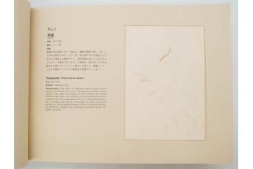 全国手すき和紙連合会　わがみ堂　1992年11月15日発行　上下巻+資料　平成の紙譜 全3冊(古本、和本、箱付き)(R-070481)