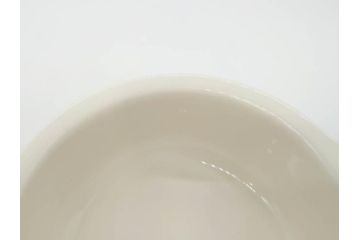 ARABIA FINLAND　Krokus(クロッカス)　シンプルなデザインで取り入れやすいスーププレート2枚&持ち手付きボウルセット(スープ皿、グラタン皿、グリーン・ブルーライン、アラビア、フィンランド、北欧食器)(R-070641)