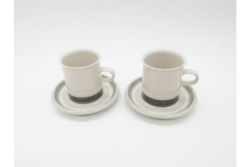 ARABIA FINLAND　salla(サーラ)　優しい色合いが落ち着いた雰囲気を醸し出すカップ&ソーサー2客セット(アラビア、フィンランド、北欧食器、C&S)(R-070643)