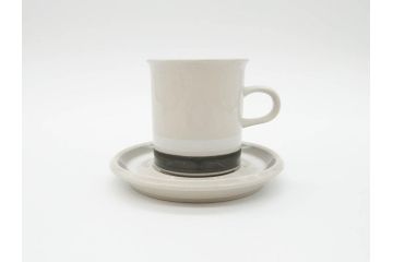 ARABIA FINLAND　salla(サーラ)　優しい色合いが落ち着いた雰囲気を醸し出すカップ&ソーサー2客セット(アラビア、フィンランド、北欧食器、C&S)(R-070643)