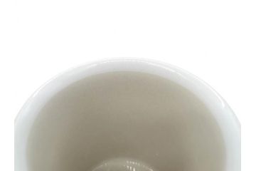 ARABIA FINLAND　salla(サーラ)　優しい色合いが落ち着いた雰囲気を醸し出すカップ&ソーサー2客セット(アラビア、フィンランド、北欧食器、C&S)(R-070643)