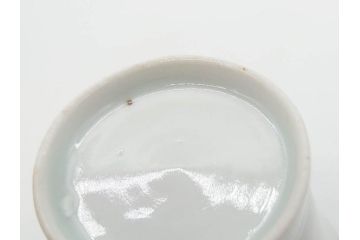 江戸期　古伊万里　染付　落ち着いた色合いが和の雰囲気を醸し出す猪口2客セット(大根文?、竹文、トンボ、お猪口、おちょこ、湯呑、和食器)(R-070658)