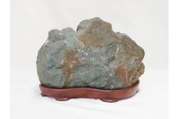 岐阜県根尾谷産　「吉祥華」　日本愛石館館長　小森宗関　天然菊花石(盆石、鑑賞石、水石、菊石、台座付き)(R-070767)