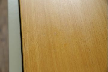 北欧ビンテージ　デンマーク製　ハンス・J・ウェグナー　GE258　グリーンカラーが空間のアクセントになる機能性抜群のデイベッド(ソファベッド、3人掛けソファ、ヴィンテージ、北欧)(R-070806)