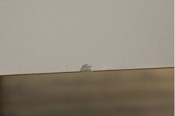 北欧ビンテージ　デンマーク製　ハンス・J・ウェグナー　GE258　グリーンカラーが空間のアクセントになる機能性抜群のデイベッド(ソファベッド、3人掛けソファ、ヴィンテージ、北欧)(R-070806)