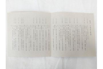 小林東五　對州窯　天目　約26cm　8.6寸　味わい深い和の雰囲気漂う鉢(深皿、和食器、八寸六分、共箱付き)(R-070864)