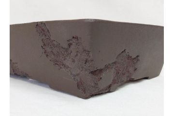 十王堂　松泉造　庚申　虫食い(虫喰)　一風変わったデザインが魅力的な長方鉢(盆栽、盆器、樹鉢、和鉢、植木鉢)(R-070875)