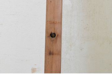 アンティーク建具　どこか懐かしい雰囲気漂う幅狭ガラス戸1枚(引き戸)(R-070936)
