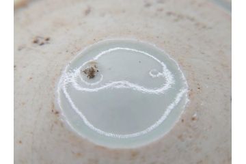 江戸中期〜後期　古伊万里　染付　落ち着いた色合いが和の雰囲気を高めるそば猪口3客セット(木と葉?、羊歯?、シダ?、湯呑、湯のみ、蕎麦猪口、和食器)(R-070971)