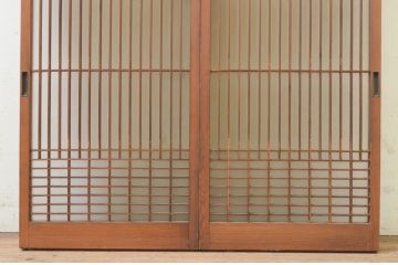 アンティーク建具　片面ガラス　上質な和の空間を演出する書院戸2枚セット(引き戸、ガラス戸、ガラス窓)(R-070992)