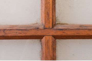 アンティーク建具　どこか懐かしい雰囲気を感じるガラス戸1枚(引き戸)(R-071004)