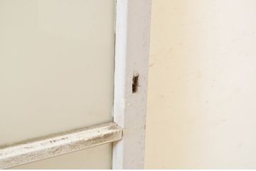アンティーク建具　ペイント仕上げ限定　インテリアに取り入れやすいシンプルなデザインのペイントガラス窓2枚セット(引き戸、ガラス戸)(R-071233)