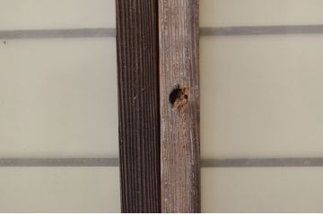 ビンテージ建具　レトロな空間を演出する格子入りガラス窓2枚セット(引き戸、格子戸、ガラス戸、ガラス入り障子戸、ヴィンテージ)(R-071275)