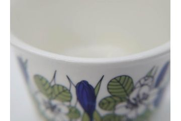1978年〜1979年　ARABIA FINLAND　Krokus(クロッカス)　大胆に描かれた花たちと青と緑の色合いが存在感を放つトリオセット(ヴィンテージ、ビンテージ、アラビア、フィンランド、北欧食器、カップ、ソーサー、C&S、プレート、皿、グリーン・ブルーライン)(R-071488)
