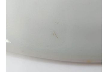 江戸期　古伊万里　染付　花唐草　大胆に描かれた花模様が印象的な盃洗(杯洗、皿、高台鉢、台鉢、和食器)(R-071505)