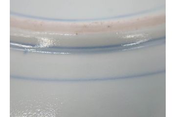 上手物　江戸期　古伊万里　富貴長春　染付　約31cm　1尺皿　大胆に絵付けされた鳥たちが味わい深い魅力を放つ大皿(鶴?、ツル?、鷺?、サギ?、和皿、和食器、一尺)(R-071508)