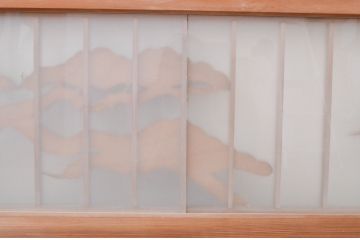 アンティーク建具　片面ガラス　和の雰囲気を高める松の彫刻入り欄間1枚(明り取り、明かり取り)(R-071529)