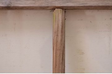 アンティーク建具　レトロな雰囲気を醸し出す明かり取り1枚(明り取り、ガラス欄間)(R-071552)