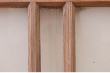アンティーク建具　レトロな雰囲気を醸し出す明かり取り1枚(明り取り、ガラス欄間)(R-071555)