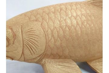 彫刻師二代目　川原啓秀(傳三)　金彩　細部まで凝った彫りが美しくリアルに表現された木彫り「鯉」(コイ、置き物、木製、共箱付き)(R-071573)