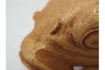 彫刻師二代目　川原啓秀(傳三)　金彩　細部まで凝った彫りが美しくリアルに表現された木彫り「鯉」(コイ、置き物、木製、共箱付き)(R-071573)