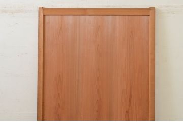 アンティーク建具　落ち着いた和の空間を演出する舞良戸1枚(まいらど、板戸、引き戸)(R-071625)