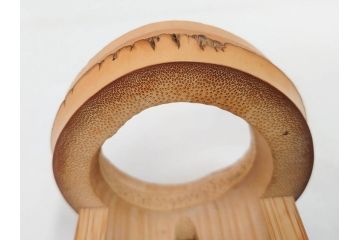 素朴な質感が味わい深い竹一重切花入(家元、花押、銘、茶道具、花瓶、花器、共箱付き)(R-071724)
